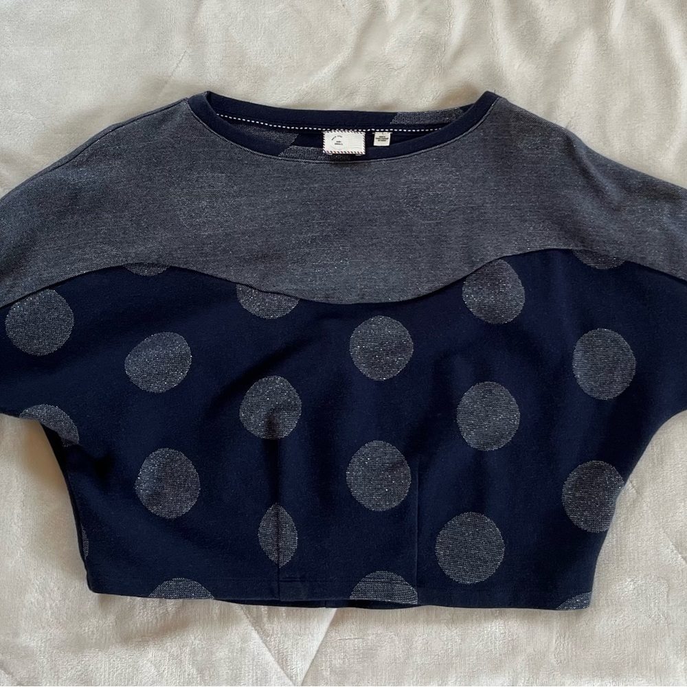 Anthropologie Postmark sweatshirt metallic dot blue